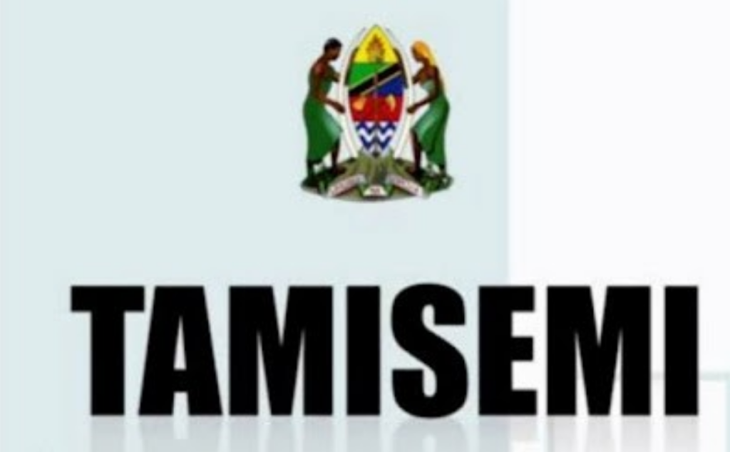 TAMISEMI Form Five Selection 2024/2025